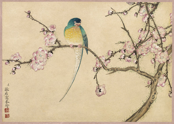 Zhang Ruoai — Desk Album: Flower and Bird Paintings (Bird with Plum Blossoms) | Chinese Ink Painting Art Print