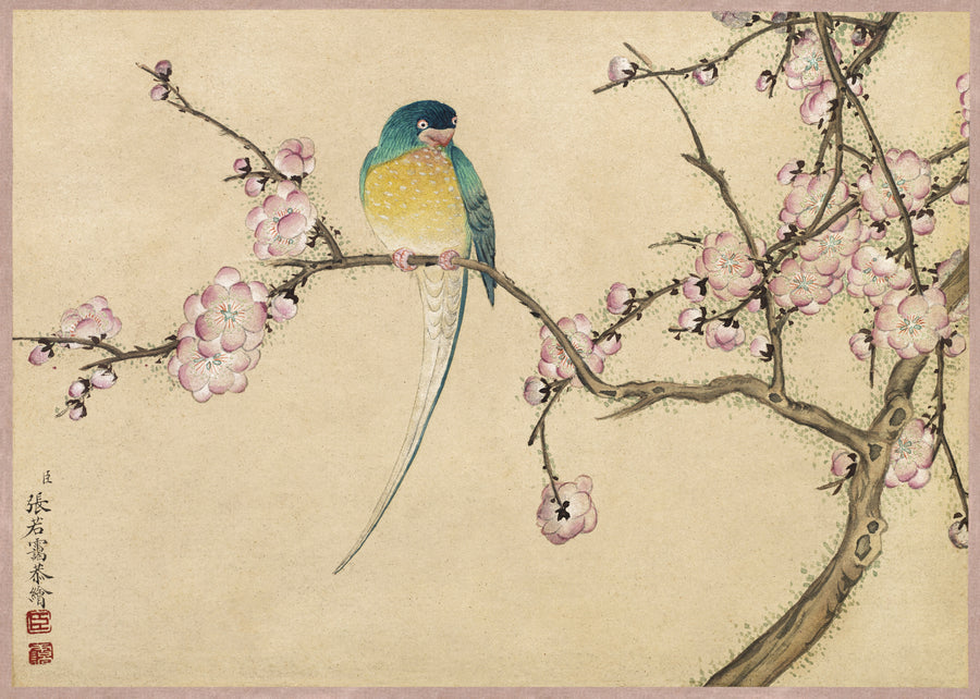 Zhang Ruoai — Desk Album: Flower and Bird Paintings (Bird with Plum Blossoms) | Chinese Ink Painting Art Print shown to scale on a wall above a sofa