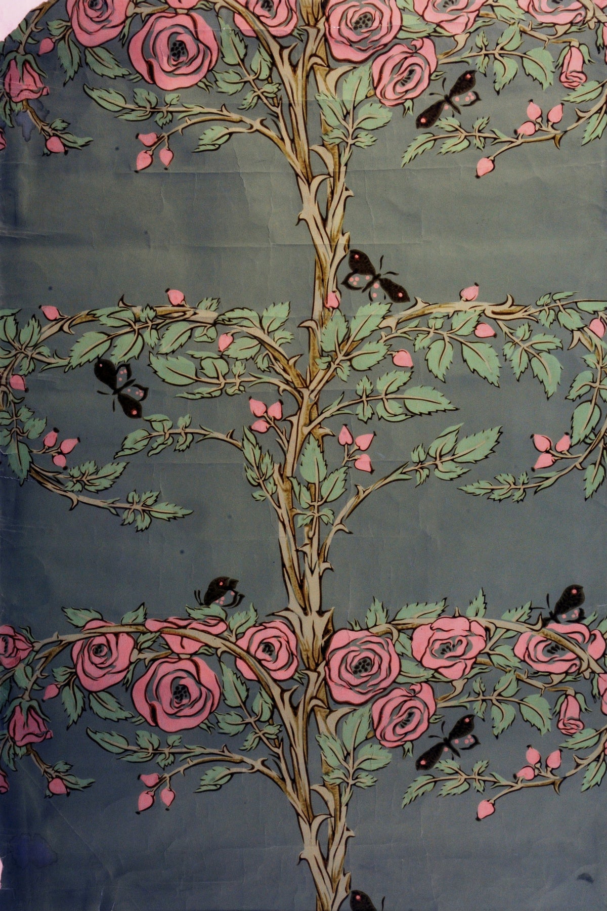 Arthur Heygate Mackmurdo — Rose and Tree | Ornament Plate Print