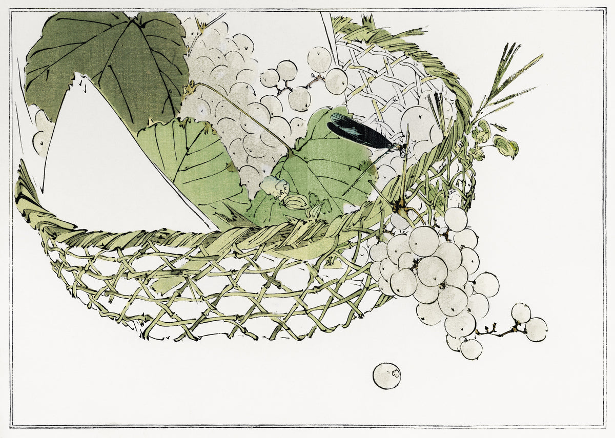 Watanabe Seitei — Basket of grapes from Seitei Kacho Gafu (1890–1891) | Japanese Bird & Flower Woodblock Print