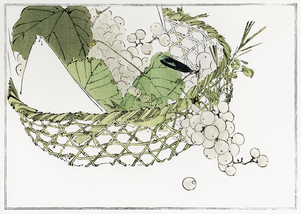Watanabe Seitei — Basket of grapes from Seitei Kacho Gafu (1890–1891) | Japanese Bird & Flower Woodblock Print