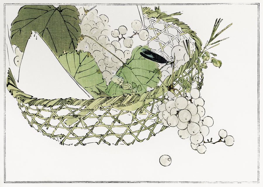 Watanabe Seitei — Basket of grapes from Seitei Kacho Gafu (1890–1891) | Japanese Bird & Flower Woodblock Print shown to scale on a wall above a sofa