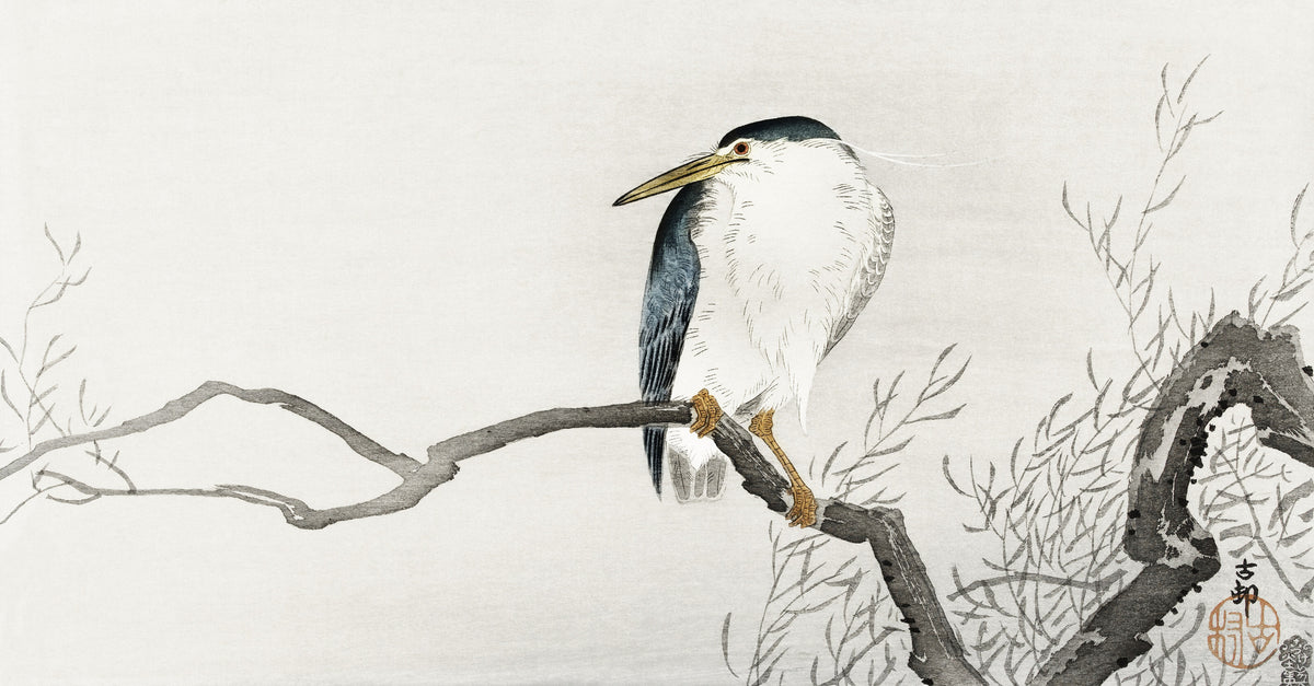 Ohara Koson — Night Heron on a Gnarled Branch | Japanese Bird & Flower Woodblock Print