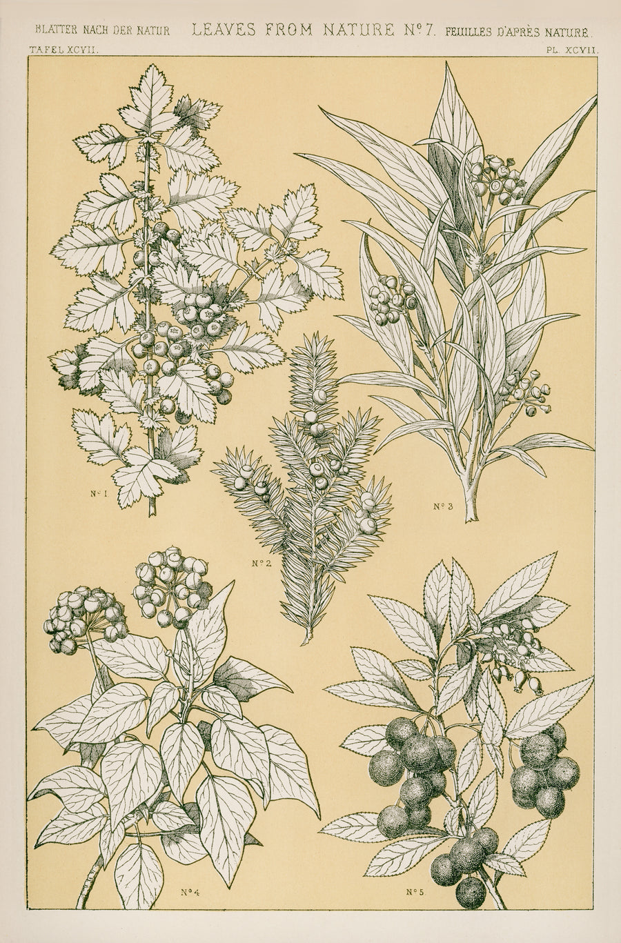 Owen Jones — Leaves from Nature No. 7 | Grammar of Ornament Design Print shown to scale on a wall above a sofa