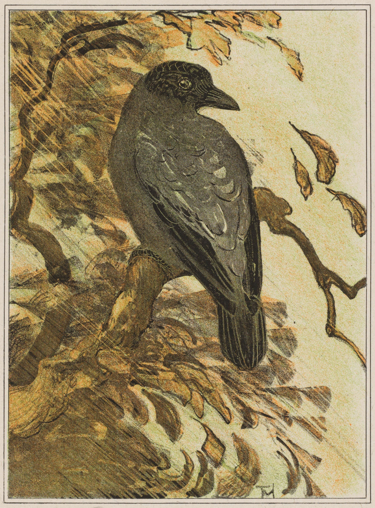 Theo van Hoytema — Hooded Crow on a Branch | Art Nouveau Print