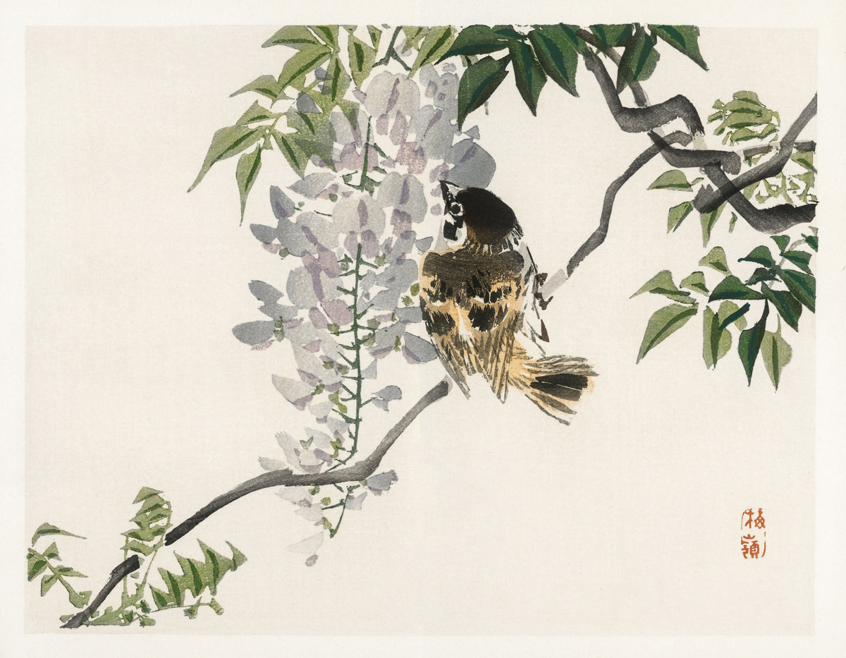 Kōno Bairei — Sparrow on a branch | Japanese Bird & Flower Woodblock Print