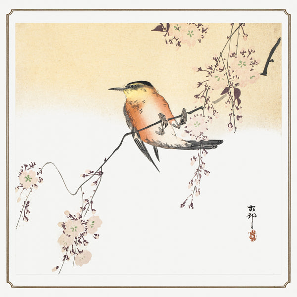 Ohara Koson — Songbird and Blossoming Cherry | Japanese Bird & Flower Woodblock Print