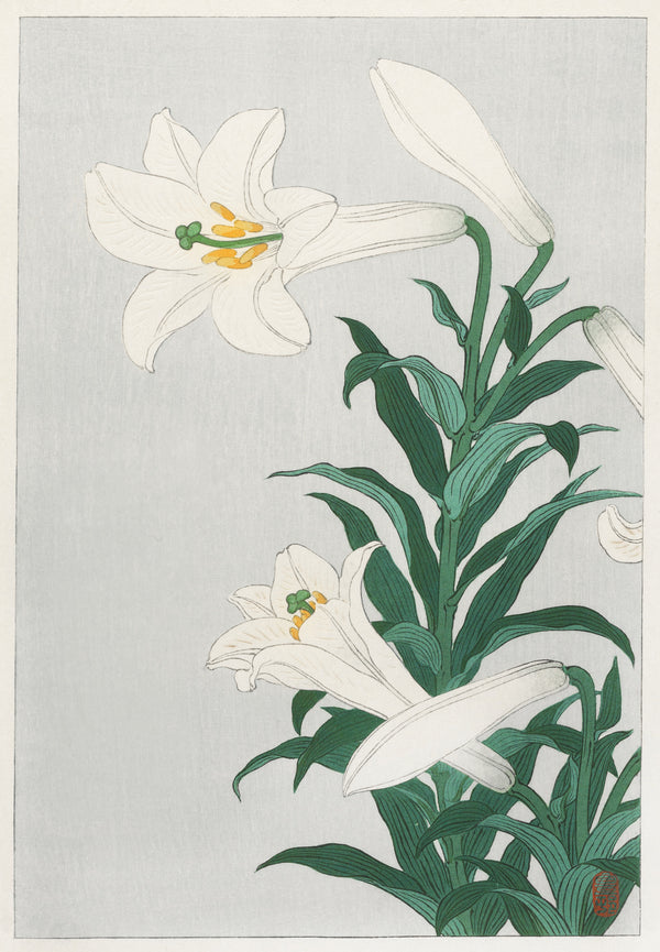 Ohara Koson — Lilies | Japanese Bird & Flower Woodblock Print