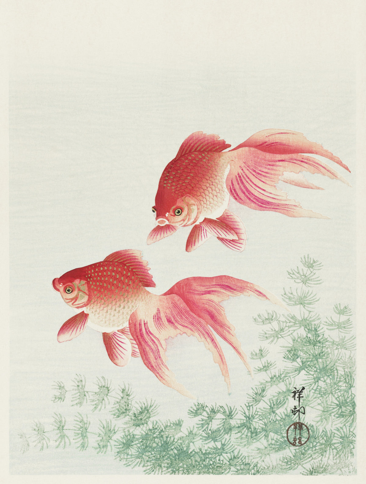 Ohara Koson — Two Veil Goldfish | Japanese Bird & Flower Woodblock Print