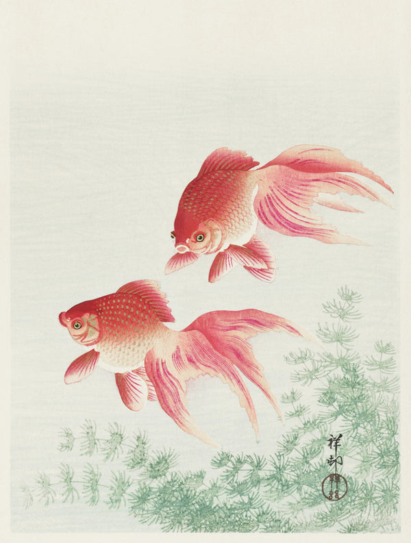 Ohara Koson — Two Veil Goldfish | Japanese Bird & Flower Woodblock Print