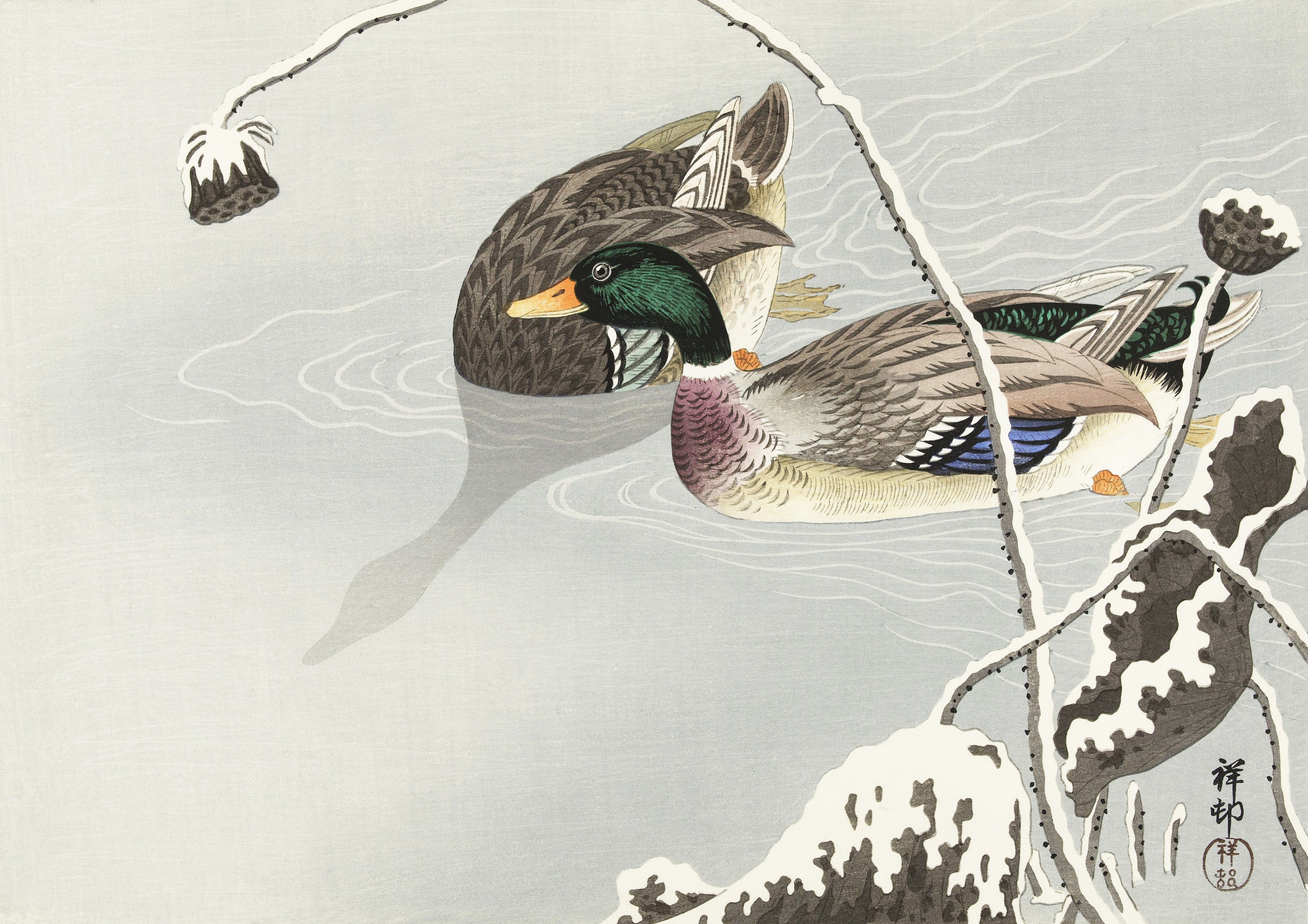 Ohara Koson — Two Mallards near a Snow-Covered Lotus | Japanese Bird & Flower Woodblock Print