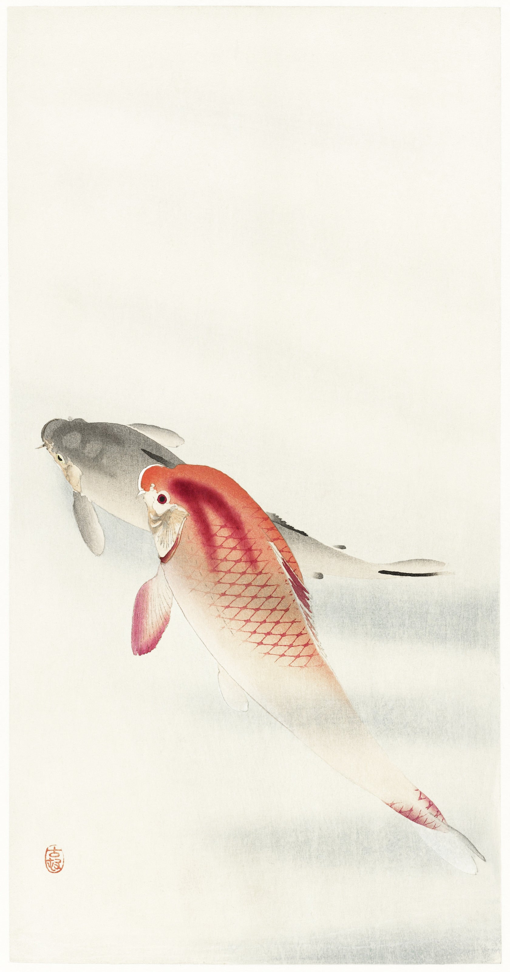 Ohara Koson — Two Carp | Japanese Bird & Flower Woodblock Print