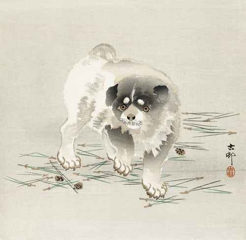 Young Dog by Ohara Koson — A fluffy young dog stands amid scattered pine needles