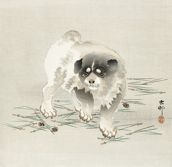Ohara Koson — Young Dog | Japanese Bird & Flower Woodblock Print