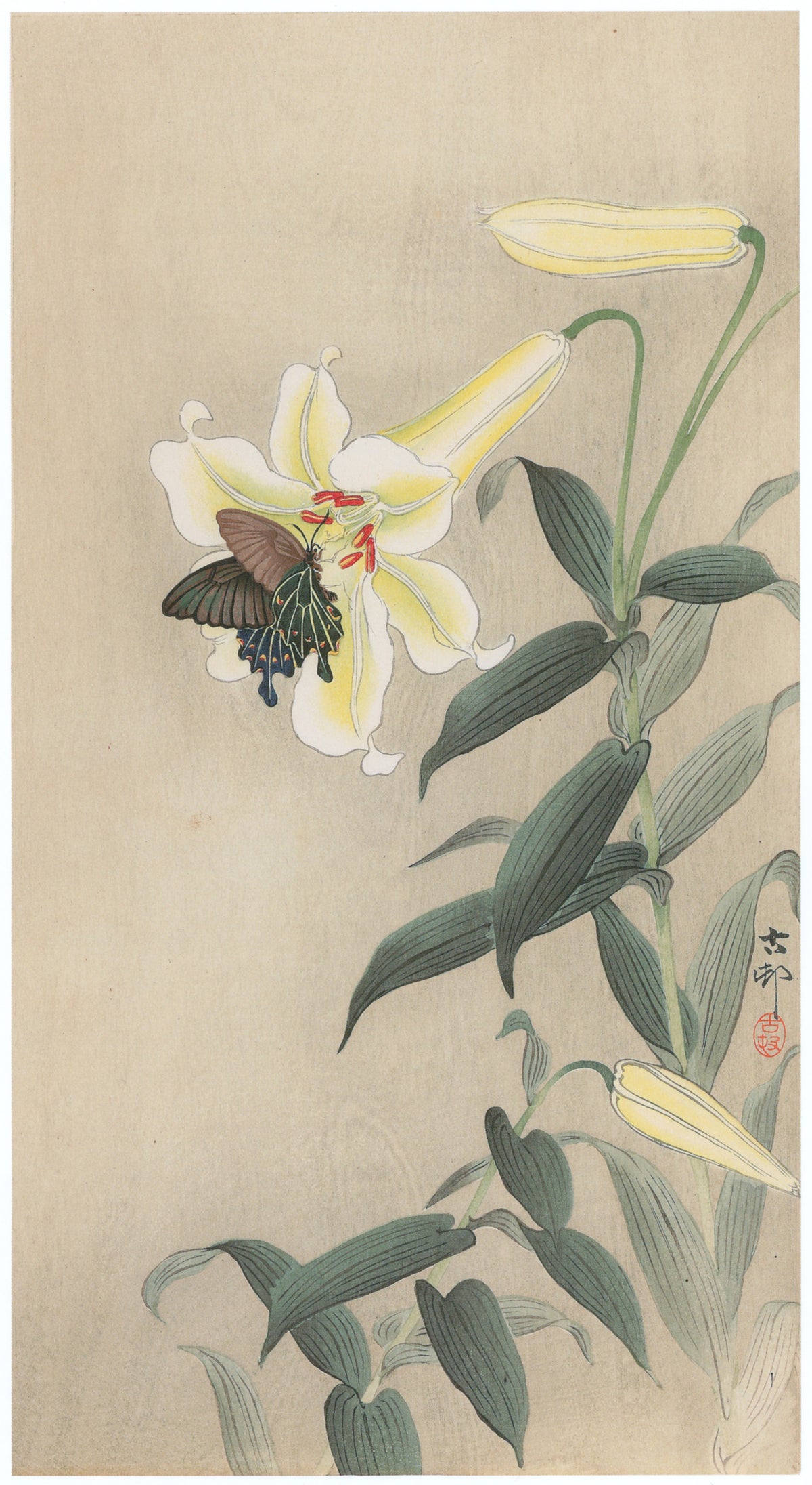 Ohara Koson — Lily and Black Swallowtail | Japanese Bird & Flower Woodblock Print
