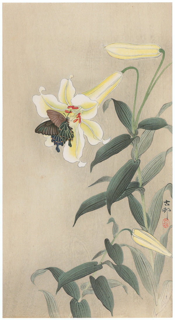 Ohara Koson — Lily and Black Swallowtail | Japanese Bird & Flower Woodblock Print