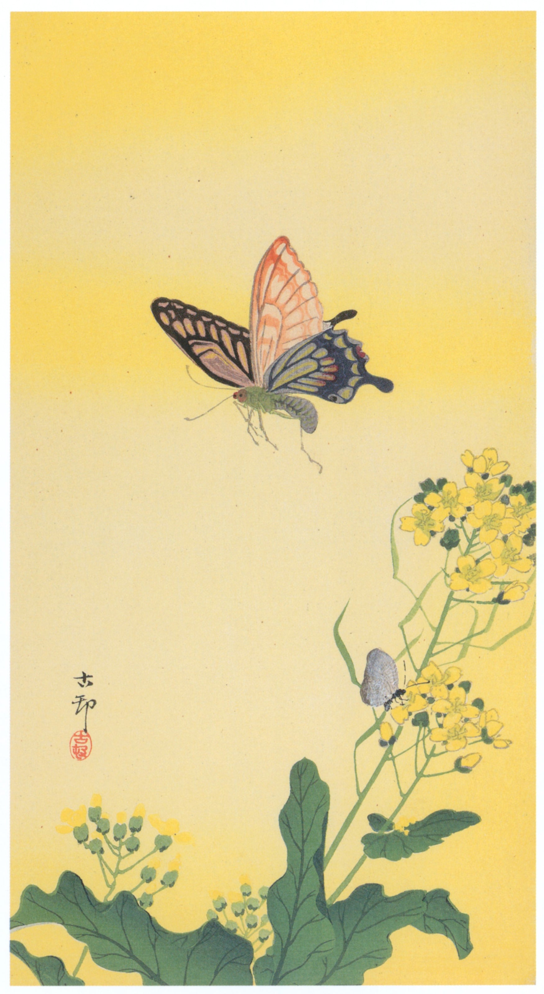 Ohara Koson — Swallowtail and Rapeseed Flowers | Japanese Bird & Flower Woodblock Print