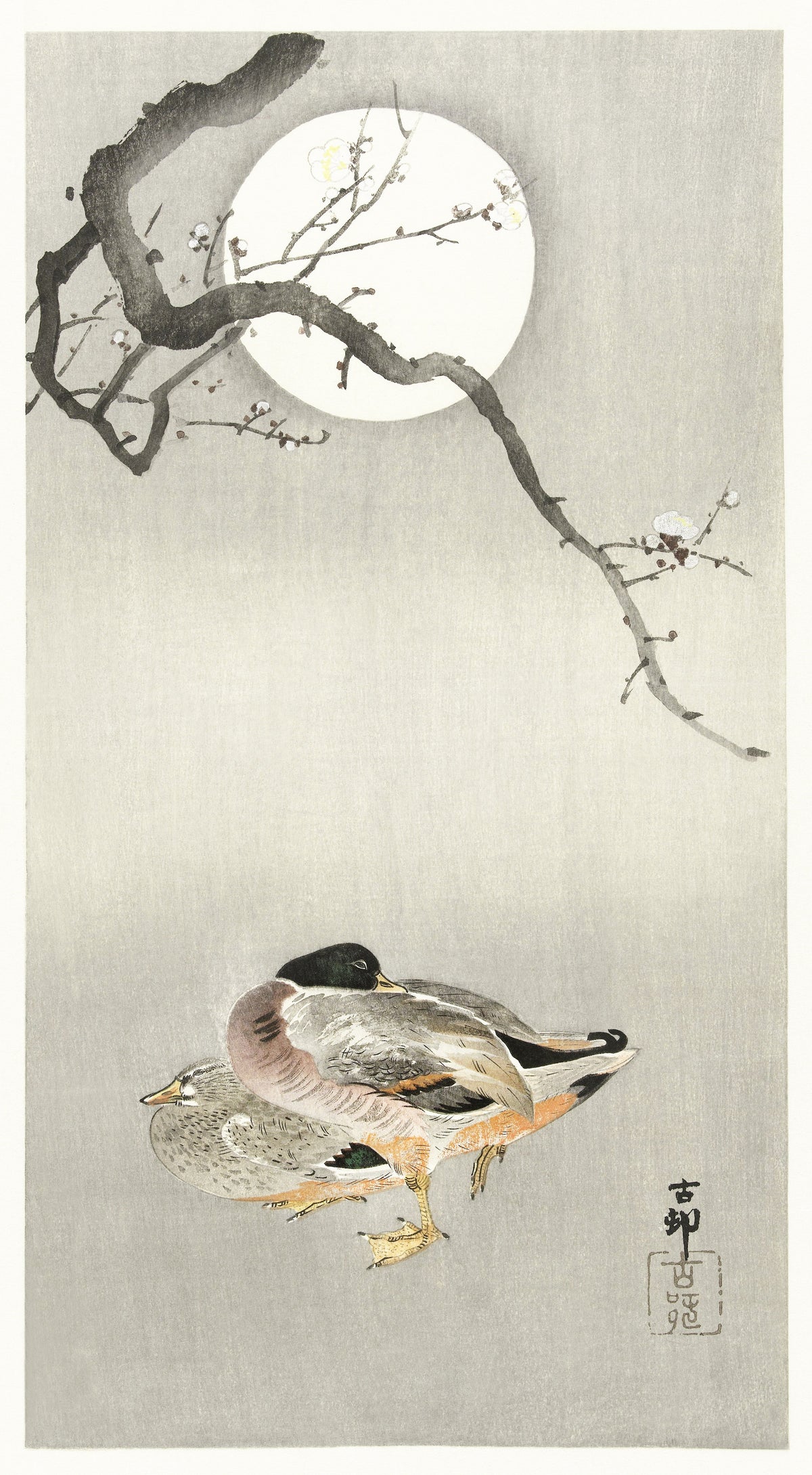 Ohara Koson — Ducks at Full Moon | Japanese Bird & Flower Woodblock Print