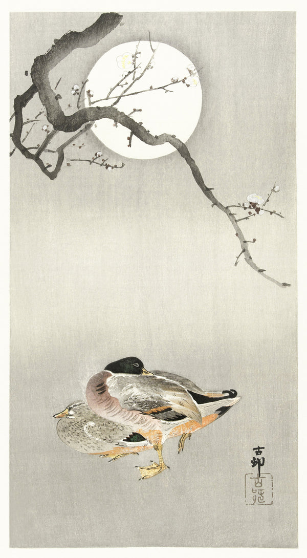 Ohara Koson — Ducks at Full Moon | Japanese Bird & Flower Woodblock Print
