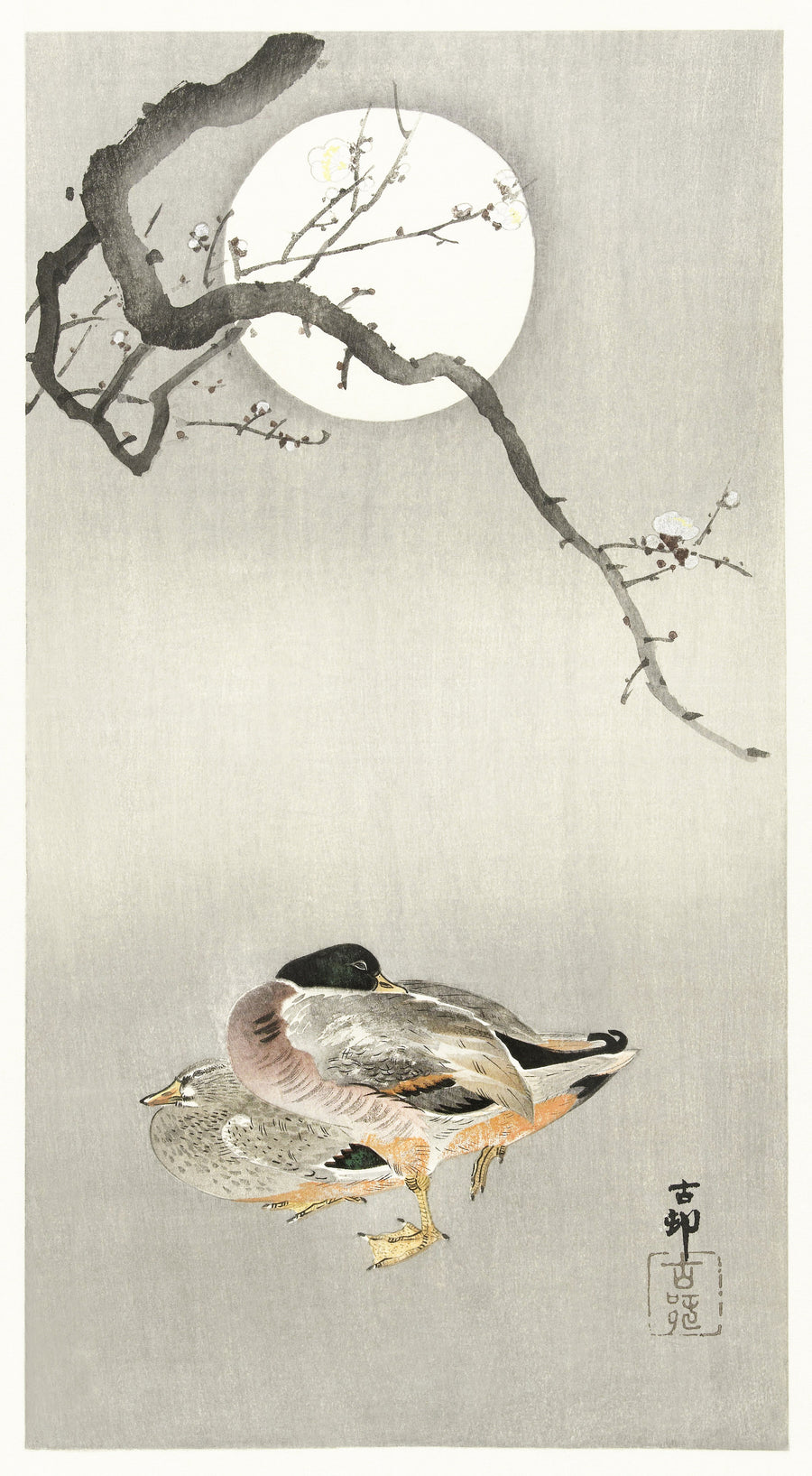 Ohara Koson — Ducks at Full Moon | Japanese Bird & Flower Woodblock Print shown to scale on a wall above a sofa