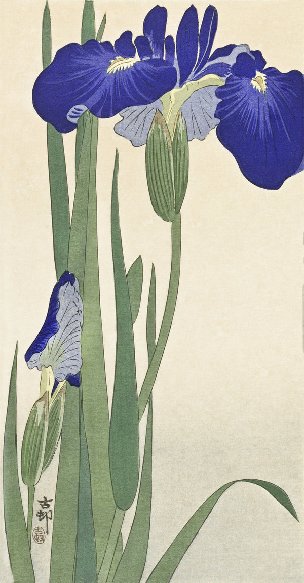 Ohara Koson — Blue Irises | Japanese Bird & Flower Woodblock Print