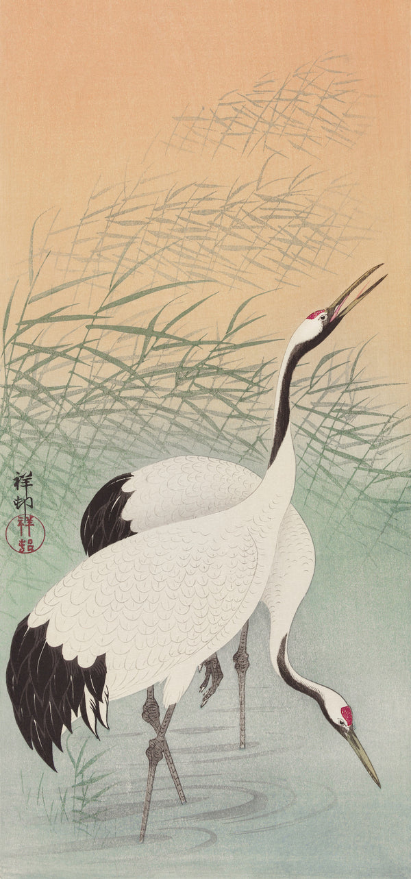 Ohara Koson — Two Cranes (Among the Reeds) | Japanese Bird & Flower Woodblock Print