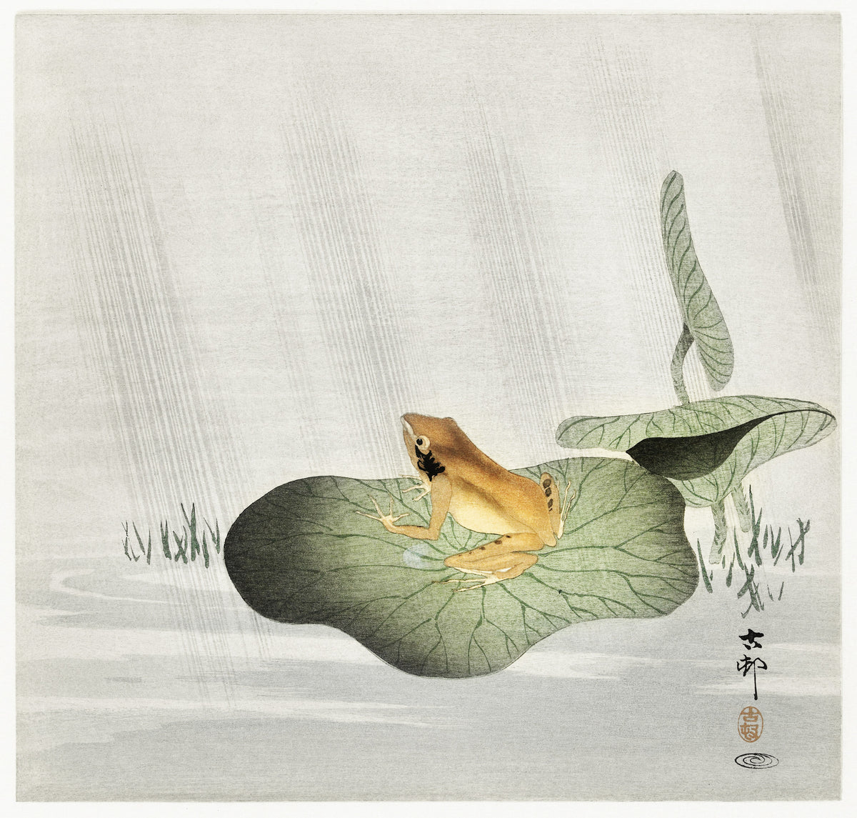 Ohara Koson — Frog on Lotus Leaf | Japanese Bird & Flower Woodblock Print