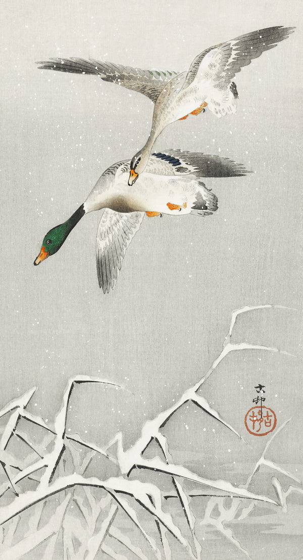 Ohara Koson — Two Wild Ducks in Flight | Japanese Bird & Flower Woodblock Print