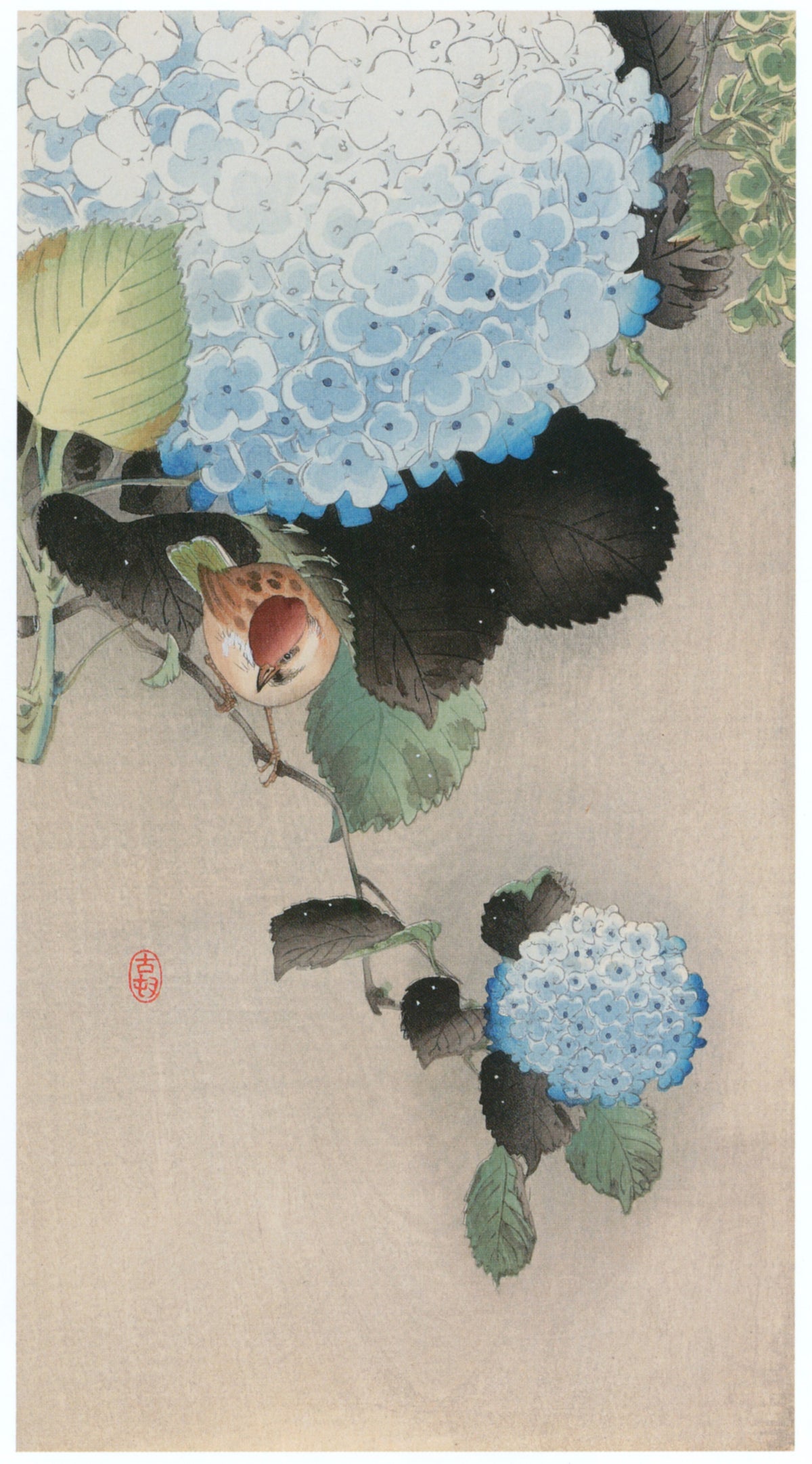 Ohara Koson — Hydrangea and Sparrow | Japanese Bird & Flower Woodblock Print