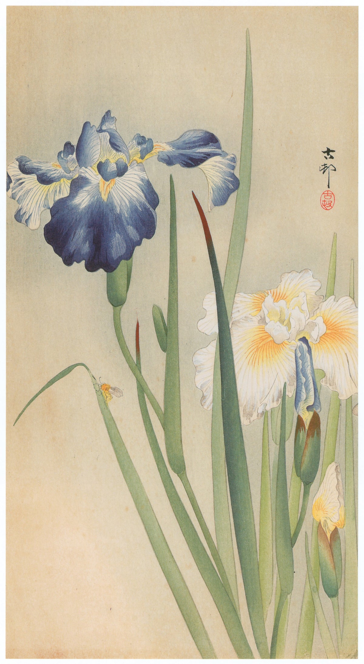 Ohara Koson — Iris and Bee | Japanese Bird & Flower Woodblock Print
