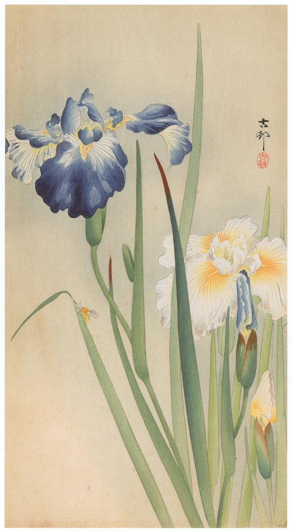 Ohara Koson — Iris and Bee | Japanese Bird & Flower Woodblock Print