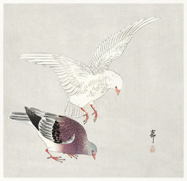 Ohara Koson — Two Pigeons | Japanese Bird & Flower Woodblock Print