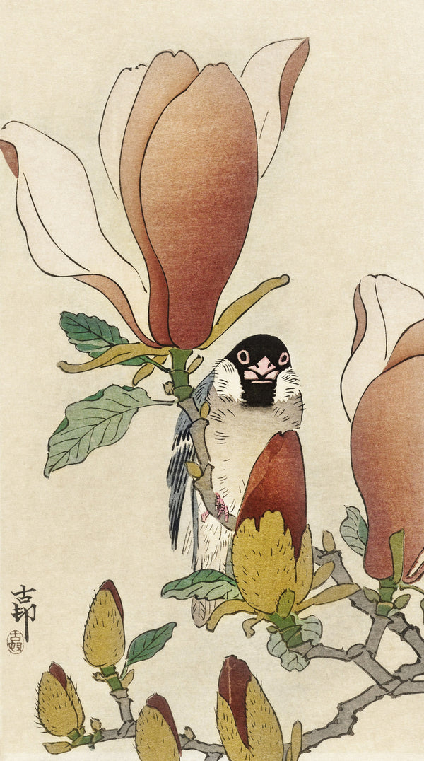Ohara Koson — Sparrow on Blooming Magnolia Branch | Japanese Bird & Flower Woodblock Print
