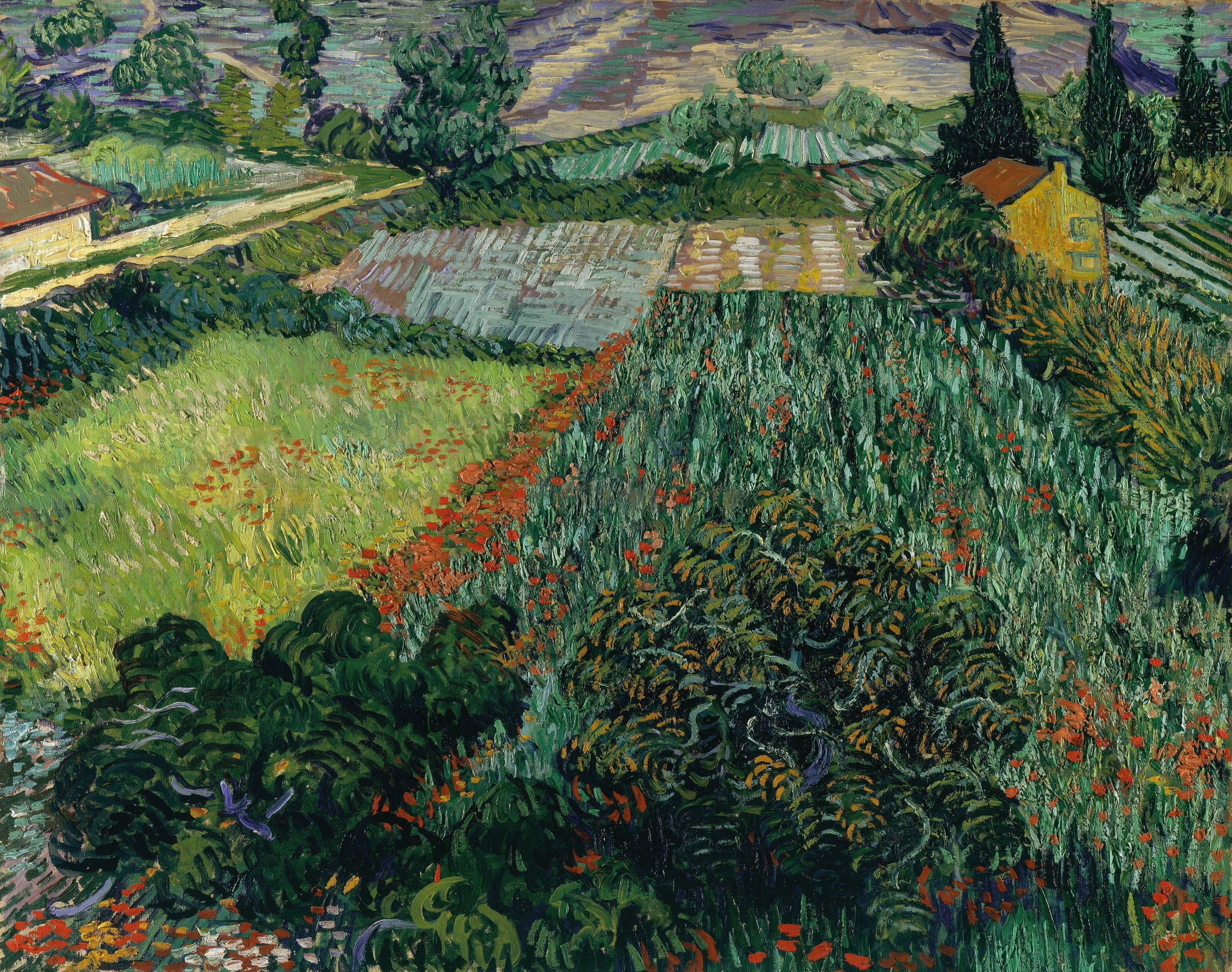 Vincent van Gogh — Field with Poppies | Fine Art Print