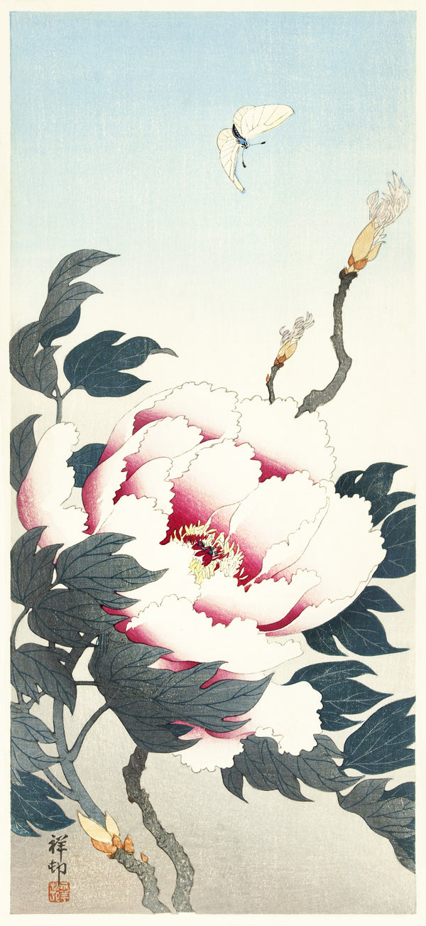 Ohara Koson — Peony with Butterfly | Japanese Bird & Flower Woodblock Print