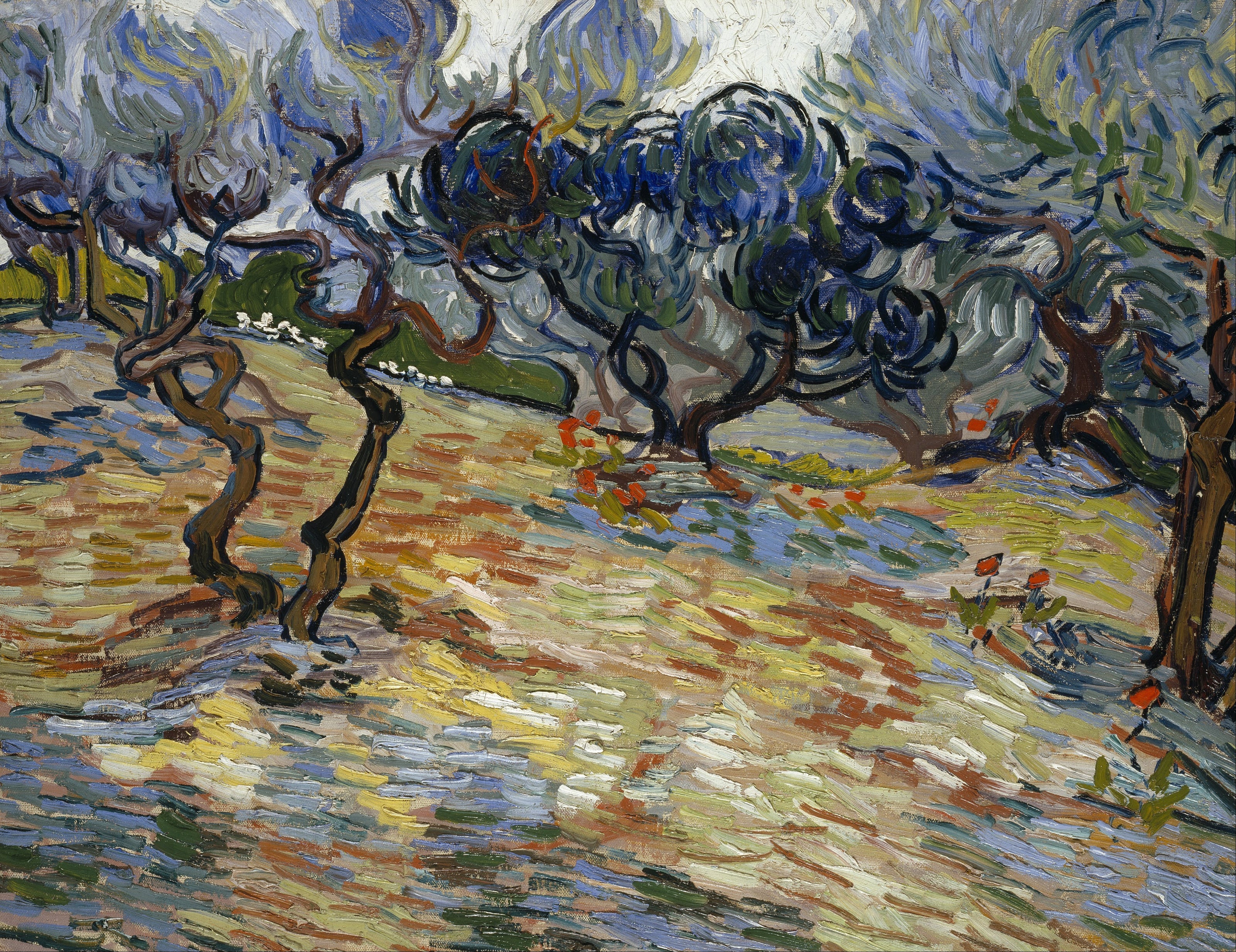 Vincent van Gogh — Olive Trees | Fine Art Print