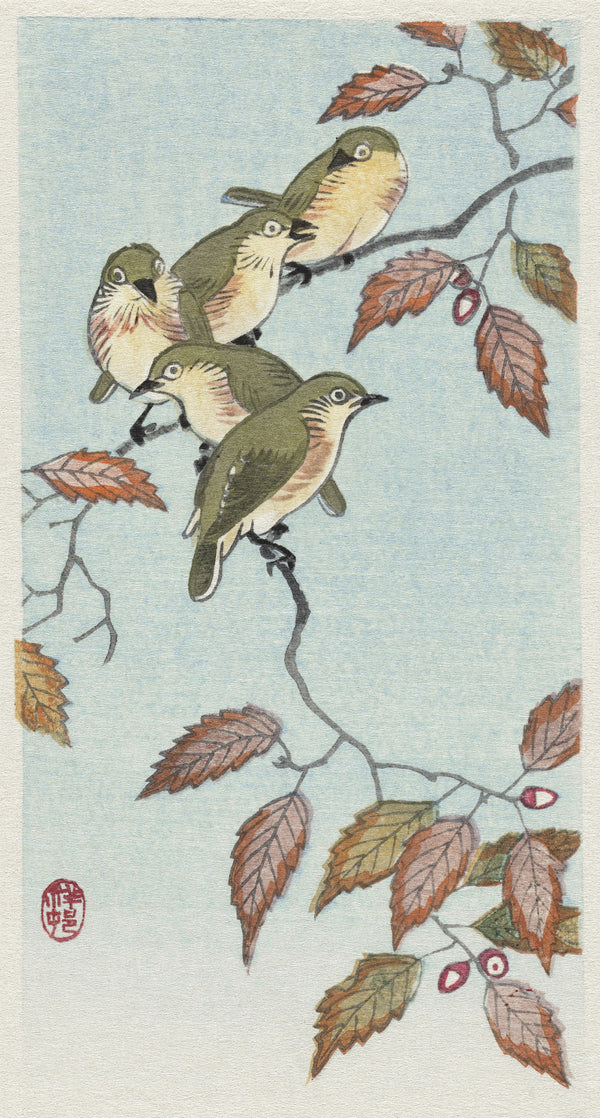 Ohara Koson — Birds on a Branch | Japanese Bird & Flower Woodblock Print