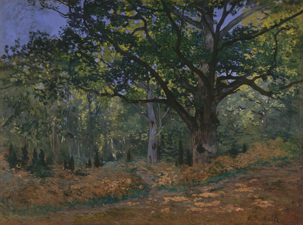 Claude Monet — The Bodmer Oak, Fontainebleau Forest | Fine Art Print