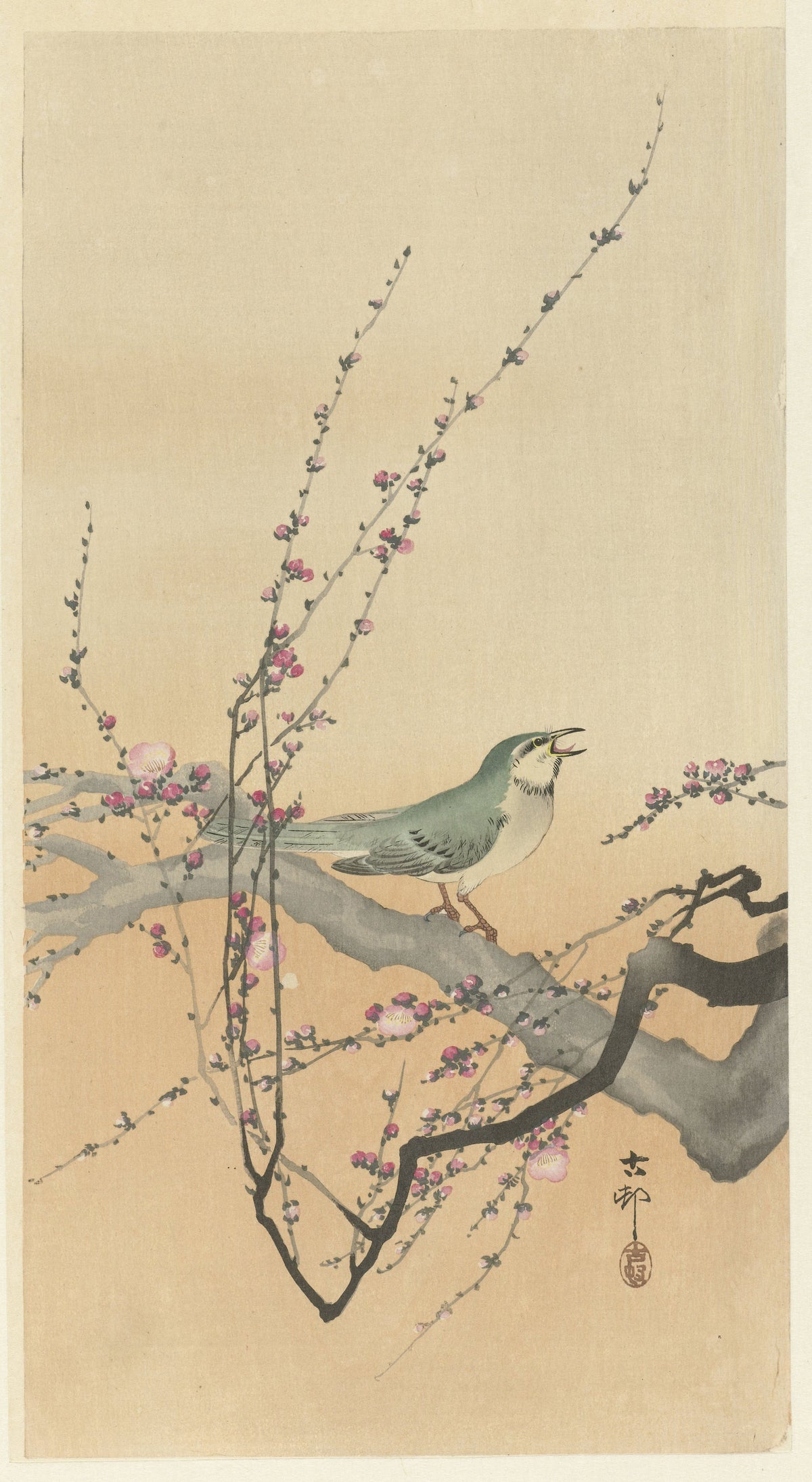 Ohara Koson — Songbird and Plum Blossom | Japanese Bird & Flower Woodblock Print