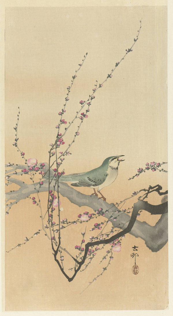Ohara Koson — Songbird and Plum Blossom | Japanese Bird & Flower Woodblock Print