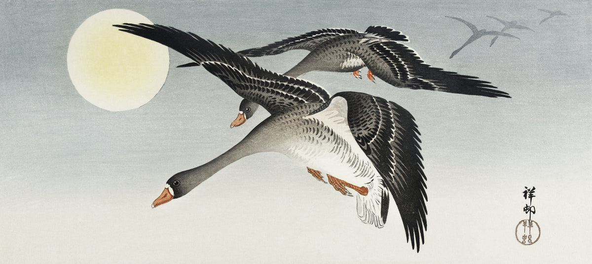 Ohara Koson — Geese in Flight at Full Moon | Japanese Bird & Flower Woodblock Print