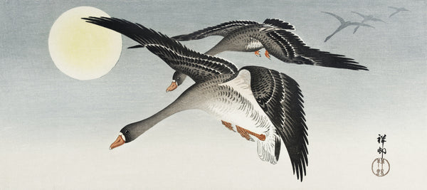 Ohara Koson — Geese in Flight at Full Moon | Japanese Bird & Flower Woodblock Print