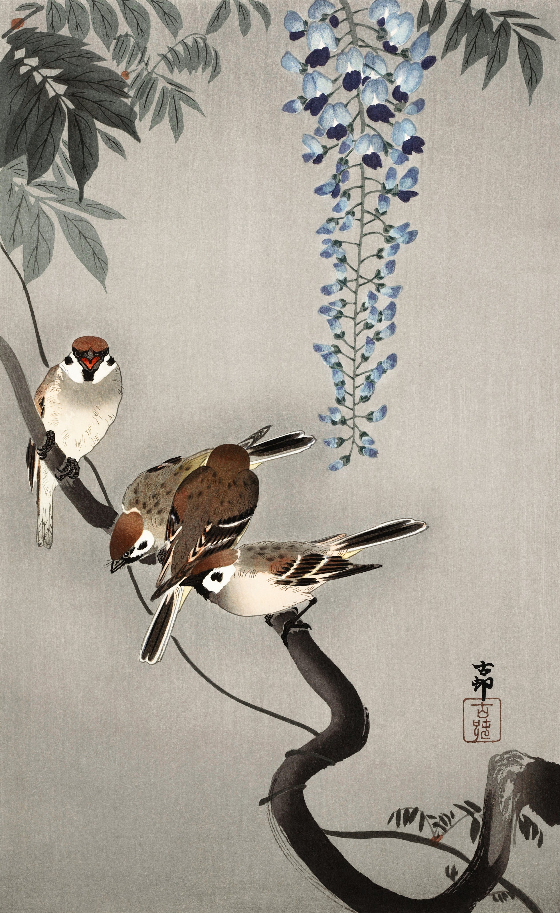 Ohara Koson — Ring Sparrows at Wisteria | Japanese Bird & Flower Woodblock Print