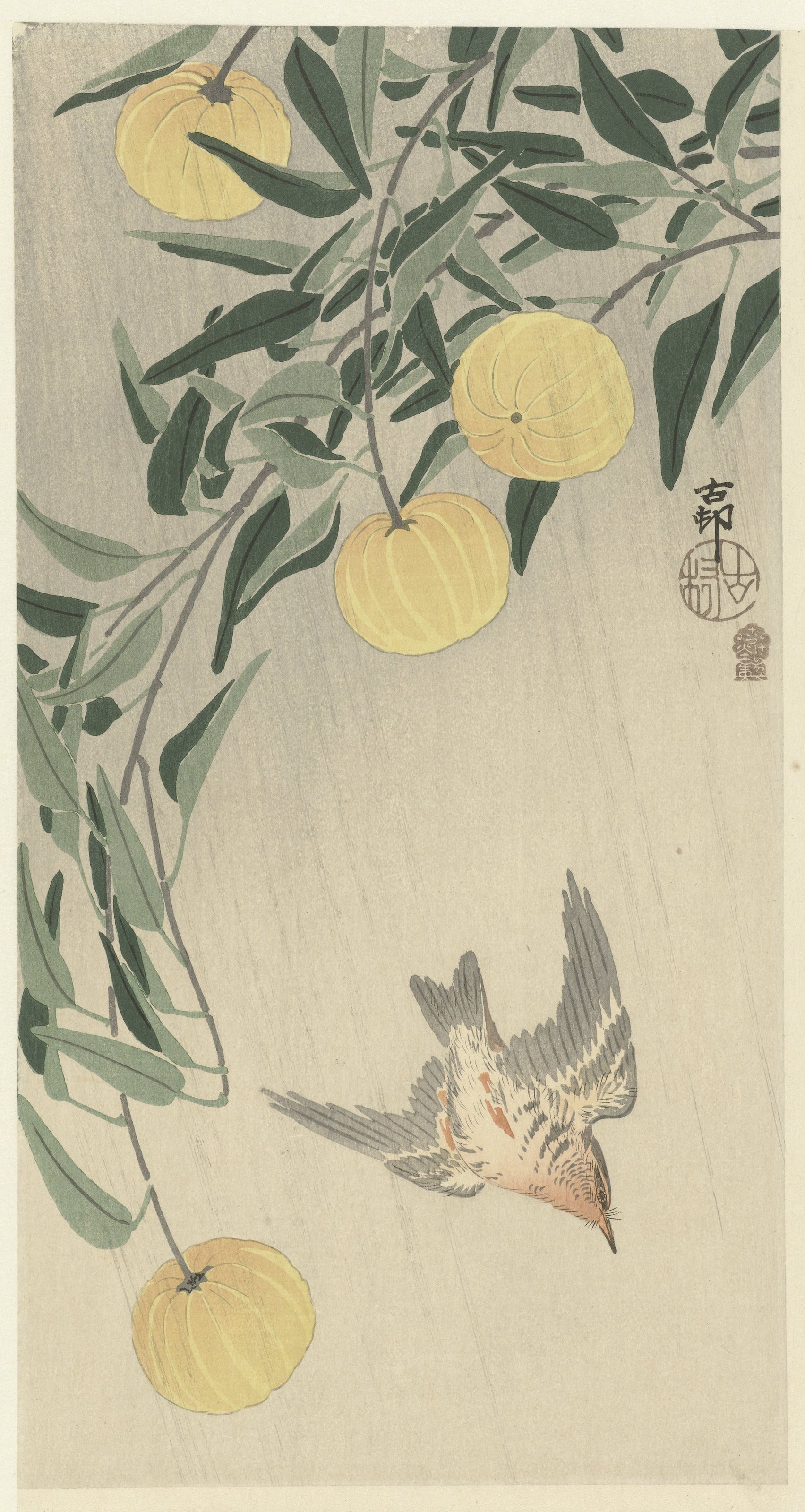Ohara Koson — Cuckoo in the rain | Japanese Bird & Flower Woodblock Print