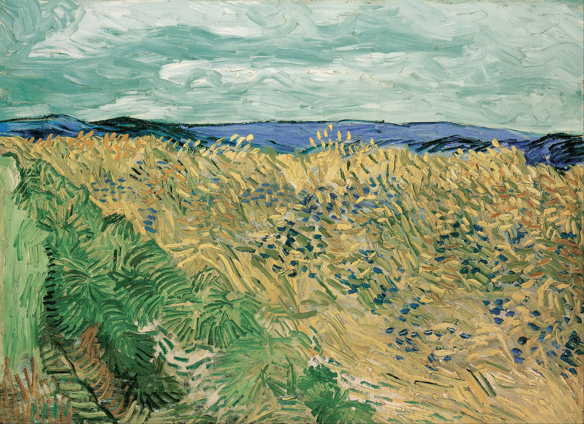 Vincent van Gogh — Wheatfield with Cornflowers | Fine Art Print