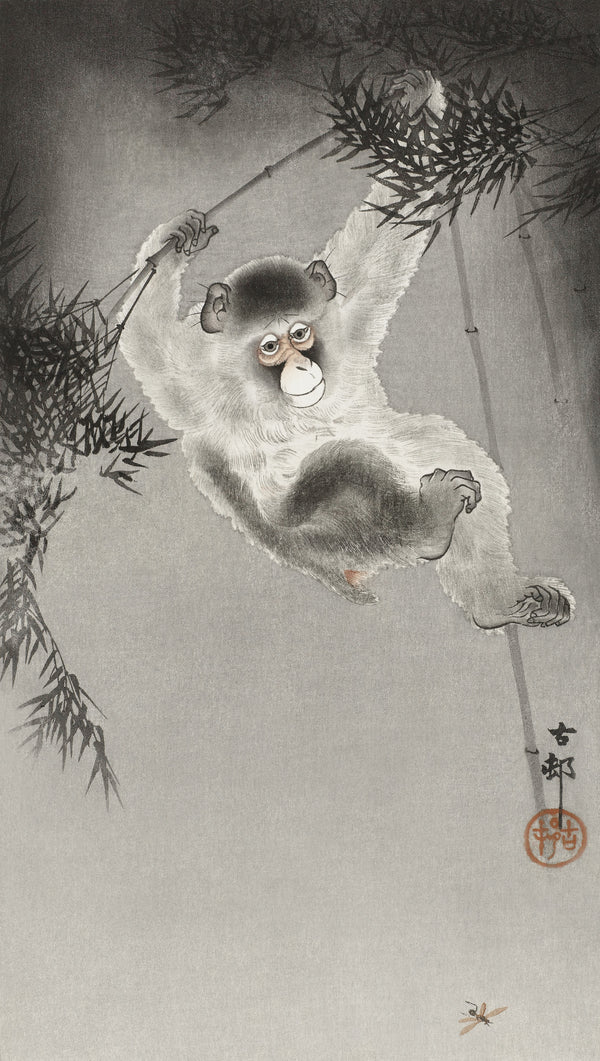 Ohara Koson — Monkey Hanging from Bamboo Branch | Japanese Bird & Flower Woodblock Print