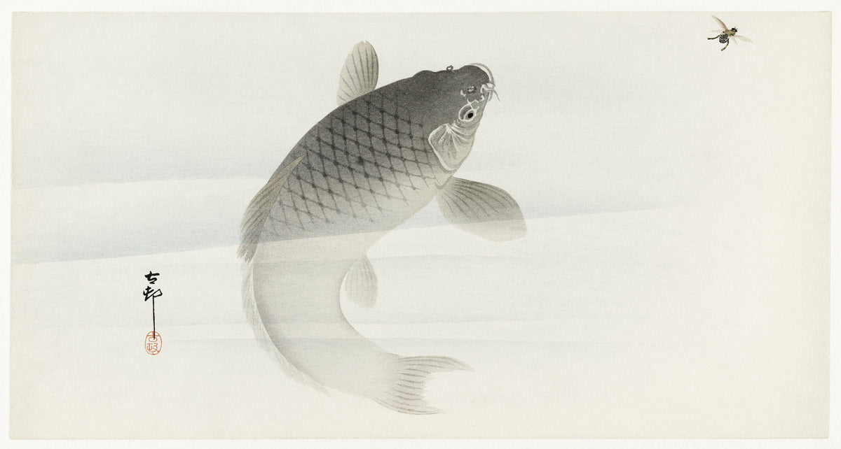 Ohara Koson — Carp and Fly | Japanese Bird & Flower Woodblock Print