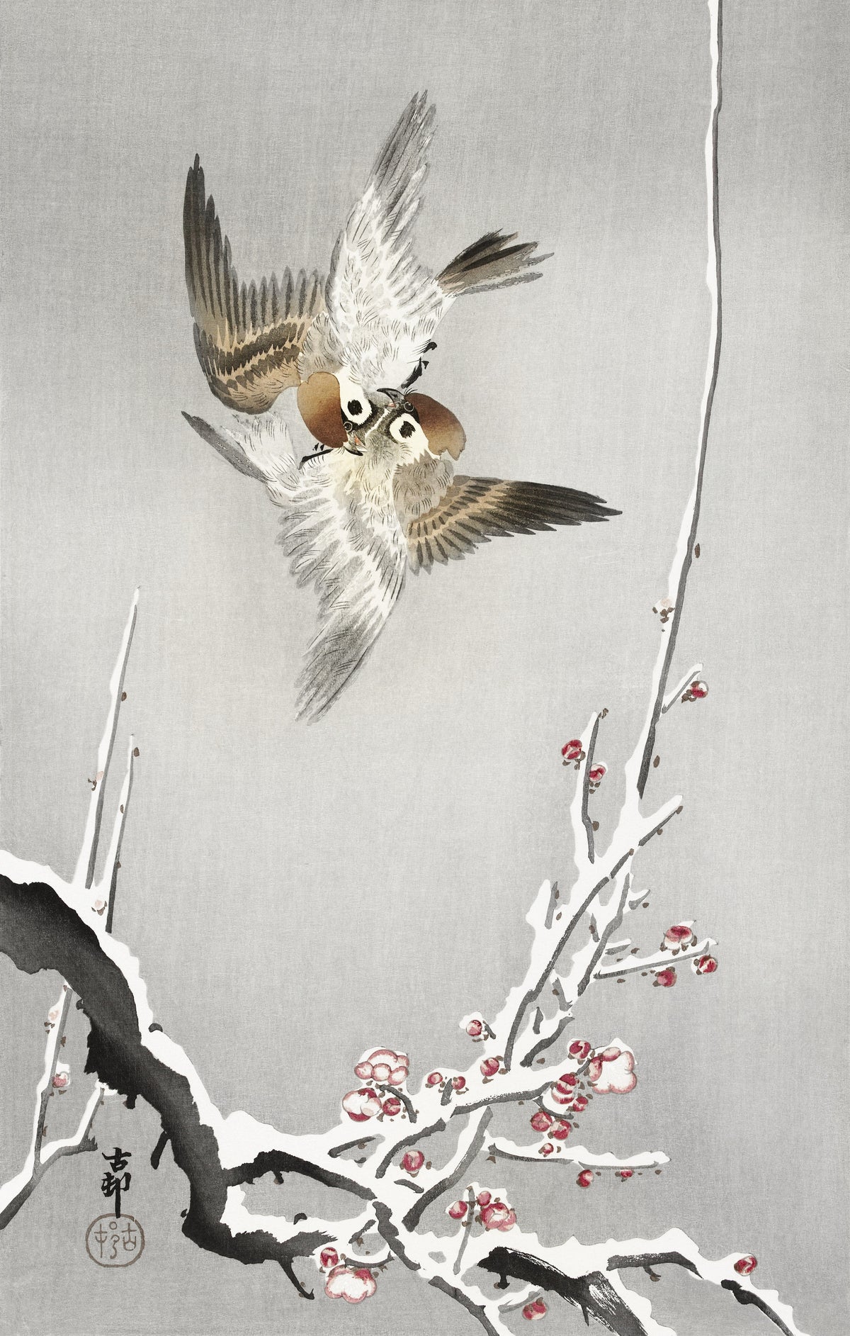 Ohara Koson — Sparrows and snowy plum tree | Japanese Bird & Flower Woodblock Print