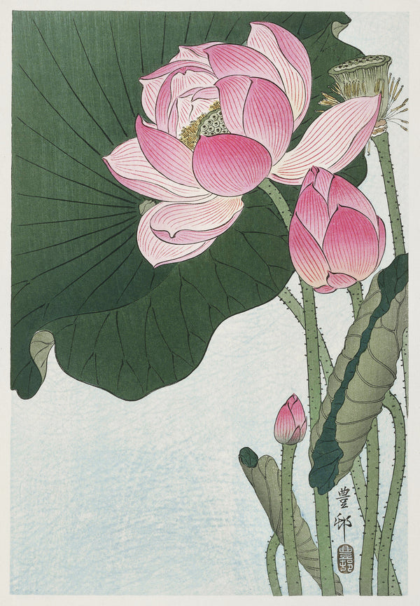 Ohara Koson — Blooming Lotus Flowers | Japanese Bird & Flower Woodblock Print