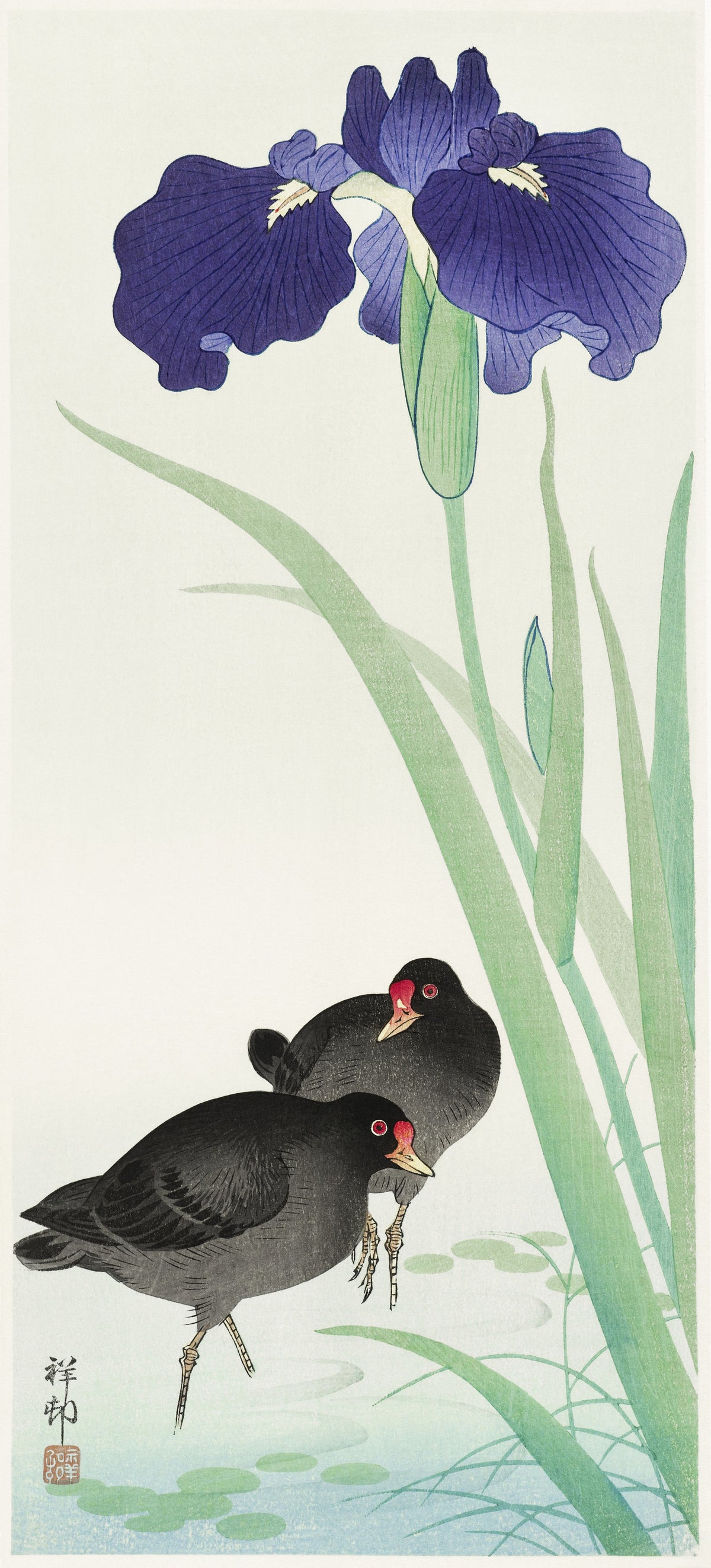 Ohara Koson — Moorhens and Iris | Japanese Bird & Flower Woodblock Print